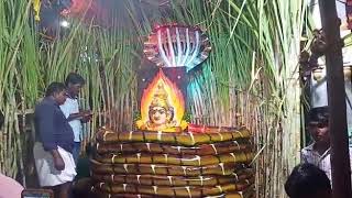 preview picture of video 'Vandavasi Mahasivarathiri And Mayannakollai(3)'