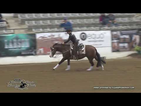 Spookadoodledo ridden by Kelle L. Smith  - 2018 NRBC (Sec. 2 NP Finals)