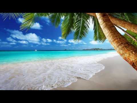Chill Out Tropical Music