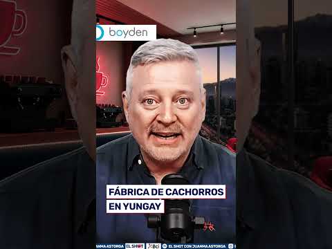 PDI desmantela criadero clandestino en Barrio Yungay: rescataron 15 perros hacinados