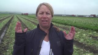 Sylvia Klinger, Registered Dietitian: Prioritizing Produce Safety
