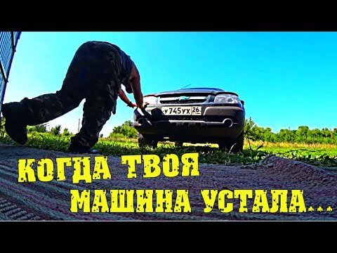 Шнива устала... Подготовка к Дет Саду. Поездка в город. Как мы коров встречаем