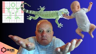 Who Knows if it's a Lizard or a Baby?