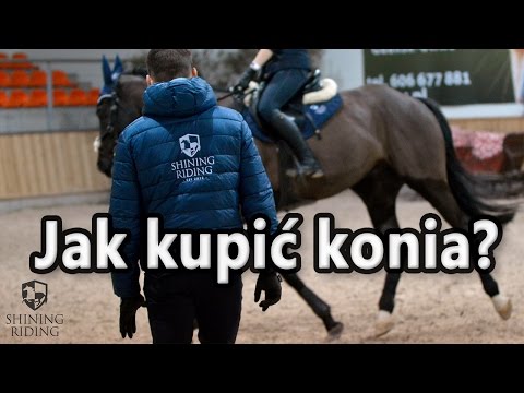 Steroidy nie wpływają na potencję Kamienie nerkowe potencja