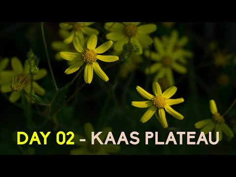 A Trip to Kaas - Travel Vlog Day 02 | Kaas Plateau | Kaas Pathar | KHS India