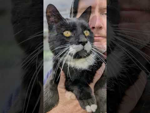 Goodbye old friend, a tribute to Kane 25/11/2009 to 12/01/2024