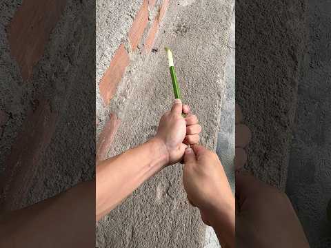 Làm đạn ống phóc cây độc lạ #duduky #diy #dudu #shorts