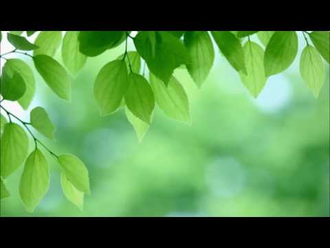 サン・マグロワール・ド・レオン修道院 - 定義