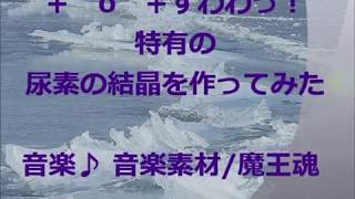 尿素の化け物