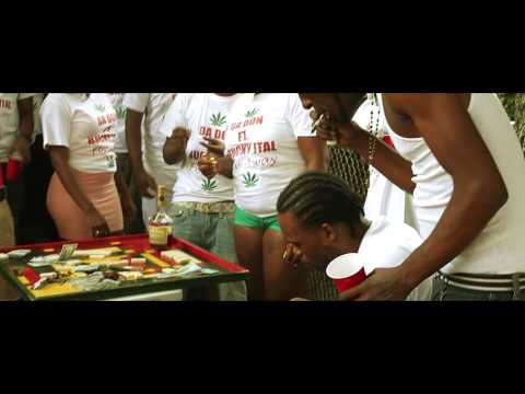 Bucky Ital - Fly Away Ft. Da Don  (Official Music Video)