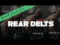 Try this ONE Rear Delt Movement for Your Poverty Bench