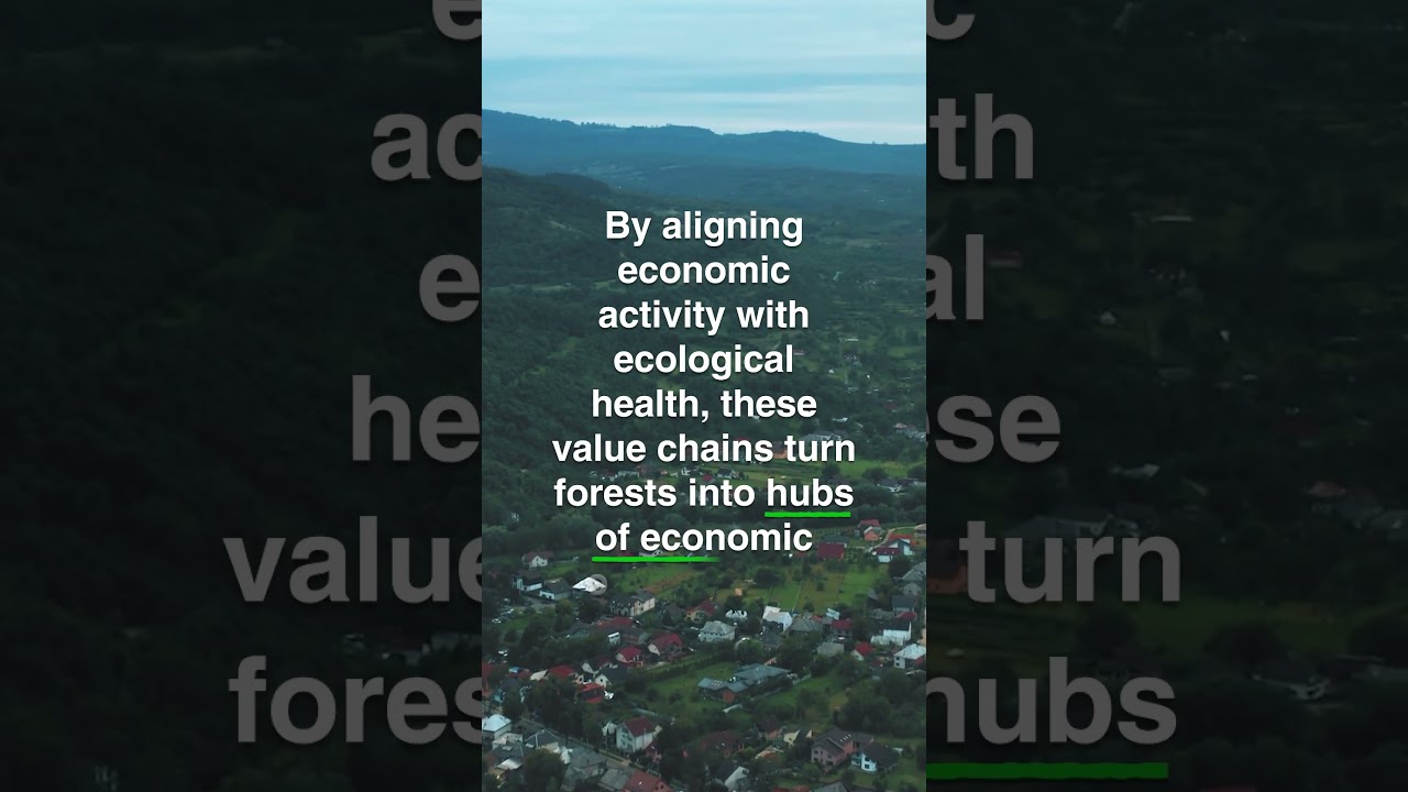 Model Forests and Sustainable, Nature-Positive Value Chains