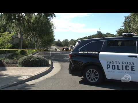 General manager of famed SF strip club fatally shot near Santa Rosa home, reports say