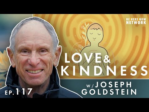 Love & Kindness - Joseph Goldstein's Insight Hour Ep. 117