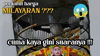 Download lagu MASTERAN PERKUTUT BANGKOK JUARA NASIONAL mp3