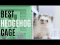 6 Best Hedgehog Cages of 2022 - Reviews & Top Picks