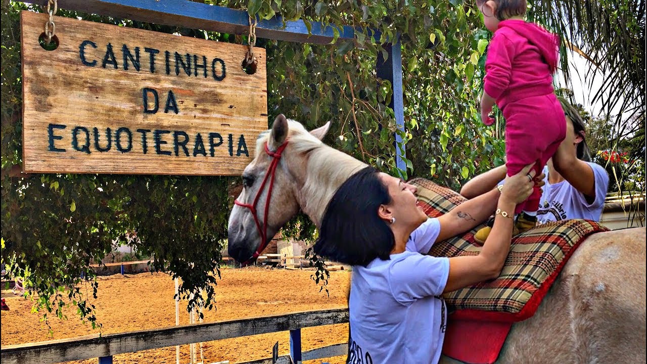 Como o cavalo pode ser útil na terapia - EQUOTERAPIA