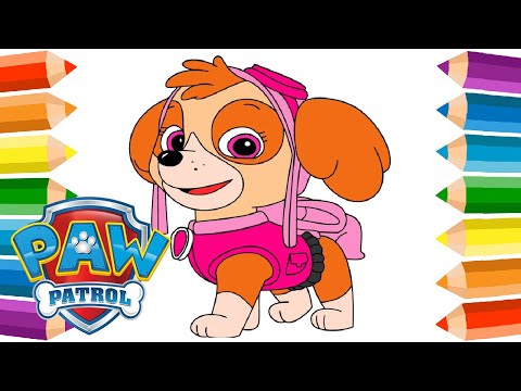 Stella Pat Patrouille 🎨 Dessin Coloriage Pat Patrouille Stella Skye Paw Patrol ❤️ Dessin