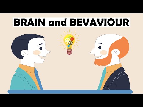 The Link Between Brain and Behavior Explained