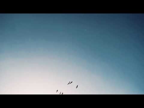 Americvno - Meu Nome é Favela (CLIPE ORIGINAL) Prod. Wonkv