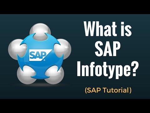 What is an Infotype?