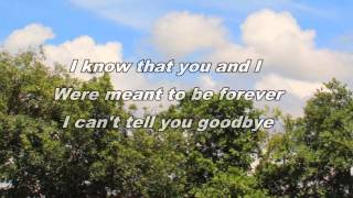 I Can&#39;t Say Goodbye To You Helen Reddy