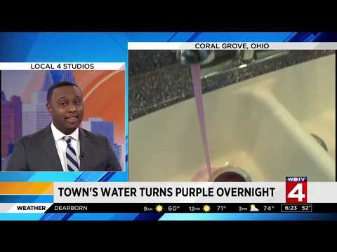 Ohio Purple Tap Water - feat Lil Jon & Kool-Aid Man