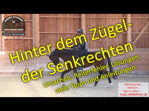 F129 This horse is behind the bit; horse behind the vertical. Horses are tight in the neck!