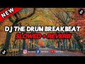DJ THE DRUM BREAKBEAT SLOWED REVERB