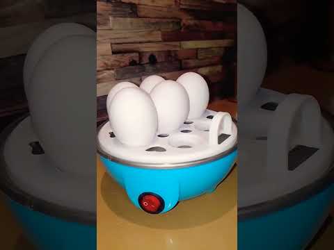 Electric Egg Boiler