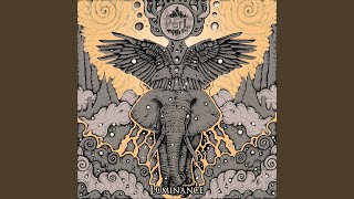 L'homme à l'éléphant blanc