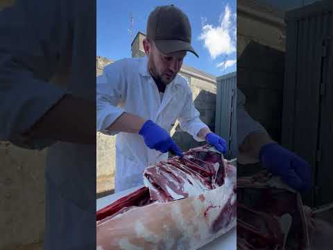 Simple breakdown of a deer carcass