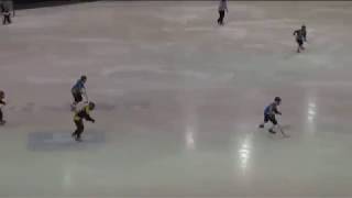 preview picture of video 'Women Bandy World Cup-2012. AIK (Sweden) - Rekord (Russia) - 0:4'