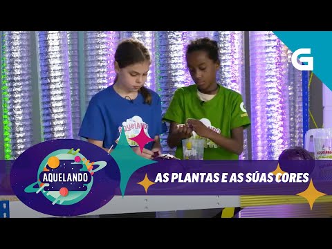 Vídeo: As plantas e as súas cores
