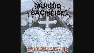 Morbid Sacrifice - Divinely Exhumed