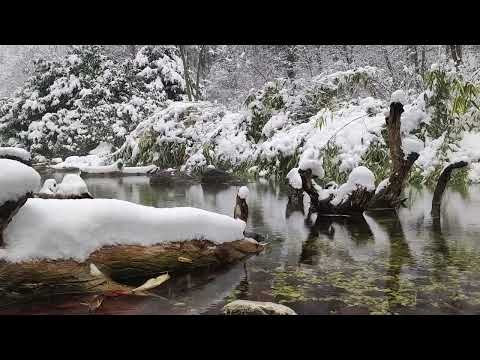 Entspannung. Meditation. Dem Alltag entfliehen. Nehme eine Auszeit!
