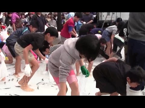 魚のつかみ取り　小学高学年の部　宿毛まるごと産業祭＆B級グルメフェスタ