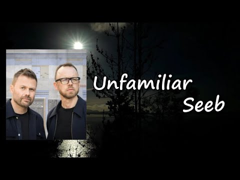 Seeb, Goodboys, HRVY - Unfamiliar Lyrics