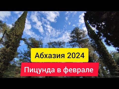 Мобильная связь в Абхазии. Автокемпинг в ПИЦУНДЕ. Абхазия 2024. Пицунда в феврале.