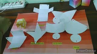 Mathematics Project.....3D pop up nets of polyhedra