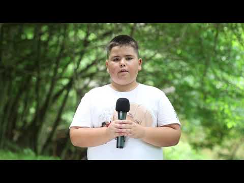 Buletin Meteo din Tabara TV - Radu Neagu