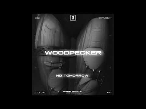 WOODPECKER - Pandora [II206D]