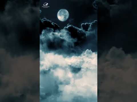 Witness21  2023 10 04