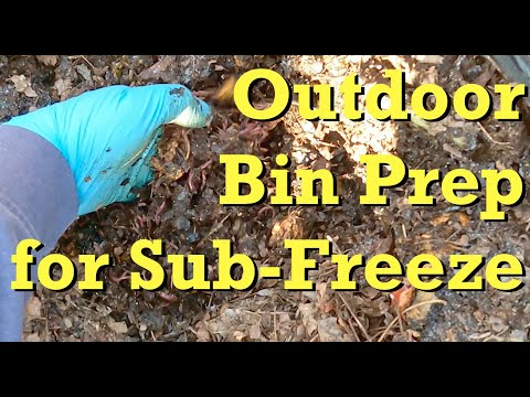 Prep for below freezing temps in outdoor worm bag - vermicomposting
