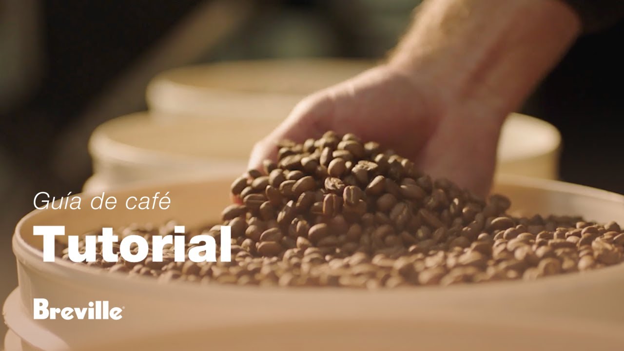Tutorial de guía de café de Breville - Elegir los granos de café adecuados