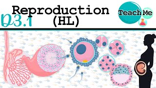 Download lagu (D3.1) - Reproduction - IB Biology (HL) mp3