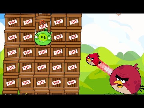 Angry Birds Cannon Birds 1 - EXPLODE THE PIGGIES INSIDE 1000 TNT FULL!