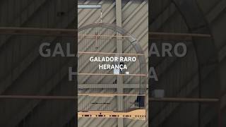 GALADOR RARO HERANÇA