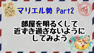 マリエル勢さんの解説 Part2