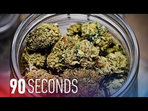 DC decriminalizes weed: 90 Seconds on The Verge